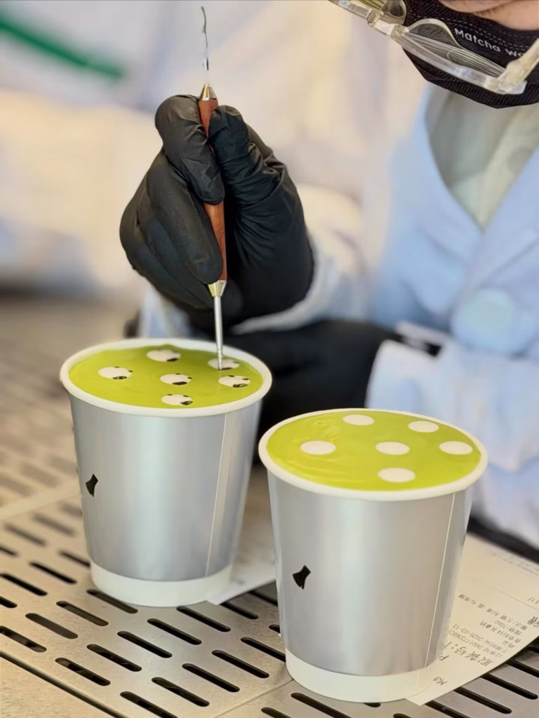 【中國品牌巡禮】MATCHA WANG：一群奶泡小羊　如何把上海抹茶店帶到海外社交平台？